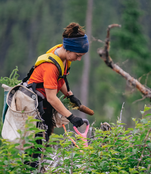 Environmental Action