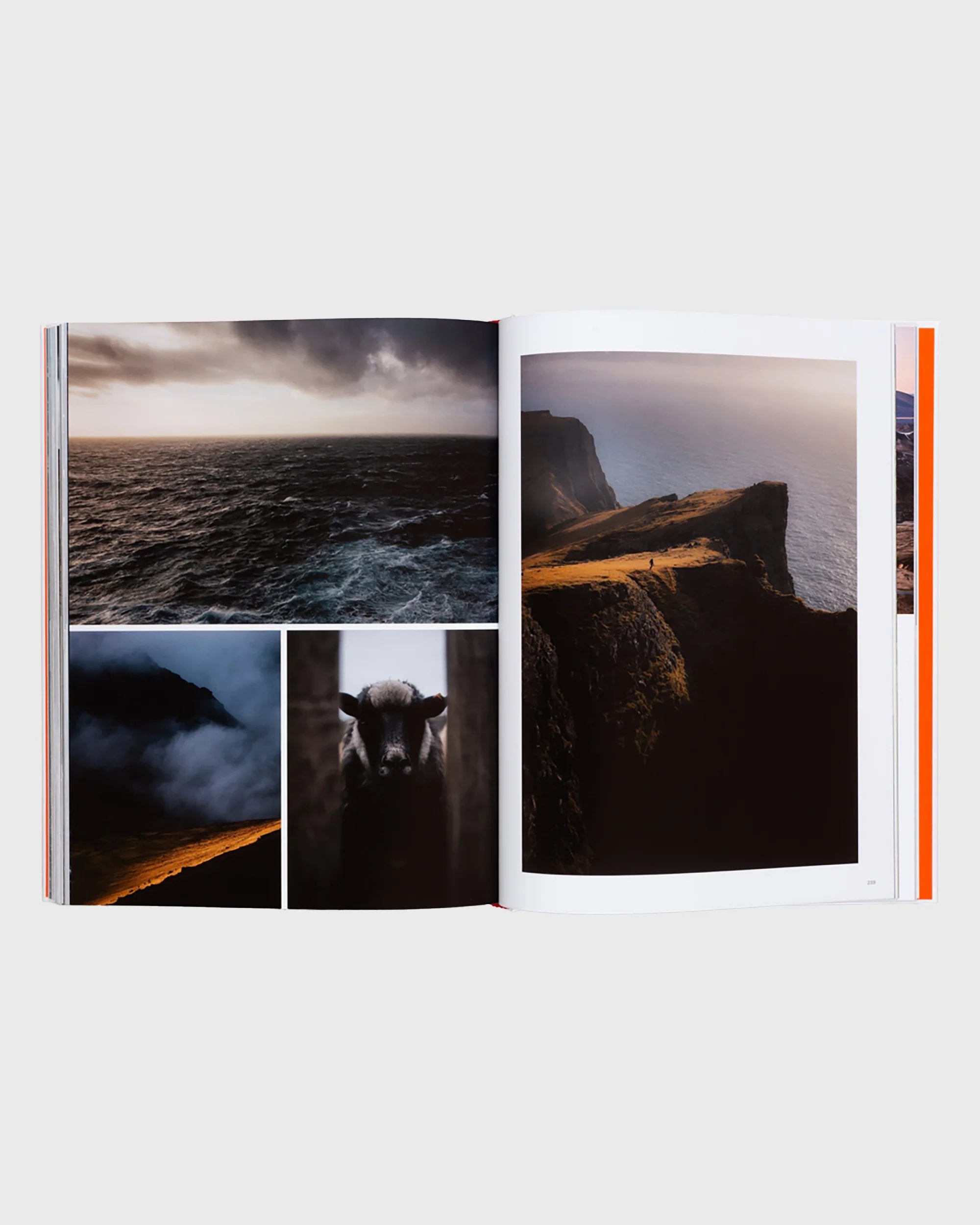 Voyages - Flatlay